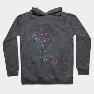 humming bird Hoodie